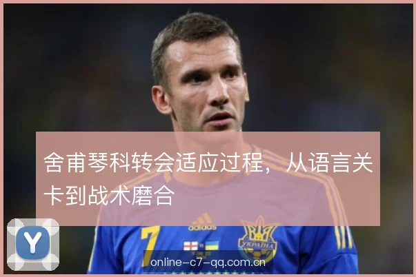 舍甫琴科转会适应过程，从语言关卡到战术磨合